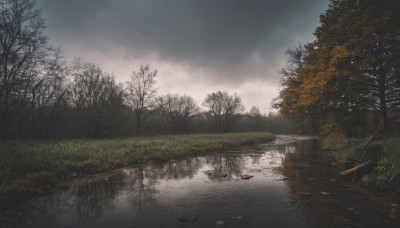 outdoors,sky,day,cloud,water,tree,no humans,leaf,cloudy sky,grass,nature,scenery,forest,reflection,autumn leaves,river,lake,grey sky,reflective water,bare tree,autumn,landscape