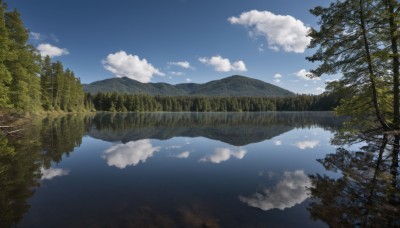 outdoors,sky,day,cloud,water,tree,blue sky,no humans,cloudy sky,grass,nature,scenery,forest,reflection,mountain,river,landscape,lake,reflective water,bird