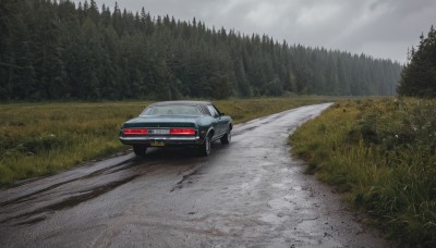 outdoors,sky,day,cloud,tree,no humans,cloudy sky,grass,ground vehicle,nature,scenery,motor vehicle,forest,car,road,vehicle focus,grey sky,sports car,field,landscape