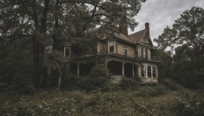 outdoors,sky,day,cloud,tree,no humans,window,cloudy sky,grass,plant,building,nature,scenery,forest,door,bush,house,path