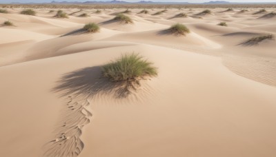 outdoors,sky,day,water,tree,no humans,shadow,ocean,beach,nature,scenery,sand,road,landscape,shore,desert,plant,close-up,realistic,still life