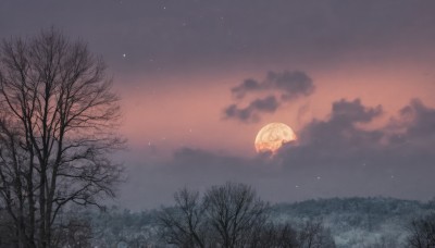 outdoors,sky,cloud,tree,no humans,night,umbrella,cloudy sky,grass,star (sky),nature,night sky,scenery,forest,starry sky,holding umbrella,parasol,bare tree,gradient sky,moon,full moon,red sky