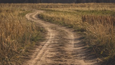 outdoors,day,blurry,tree,no humans,depth of field,grass,plant,nature,scenery,road,field,path,water,night,traditional media,ground vehicle,puddle