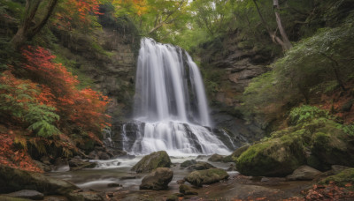 outdoors, day, water, tree, no humans, leaf, sunlight, nature, scenery, forest, rock, autumn leaves, river, waterfall, stream