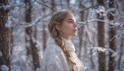 1girl, solo, long hair, blue eyes, brown hair, upper body, braid, outdoors, parted lips, blurry, twin braids, sweater, tree, lips, depth of field, looking up, hair over shoulder, snow, snowing, realistic, winter, bare tree