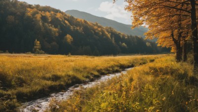 outdoors,sky,day,cloud,water,tree,blue sky,no humans,leaf,cloudy sky,grass,nature,scenery,forest,mountain,autumn leaves,field,river,autumn,landscape,path,rock