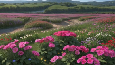 flower,outdoors,sky,day,cloud,water,no humans,grass,white flower,red flower,nature,scenery,pink flower,forest,blue flower,mountain,yellow flower,purple flower,road,field,flower field,landscape,mountainous horizon,tree,blue sky,plant,bush,path