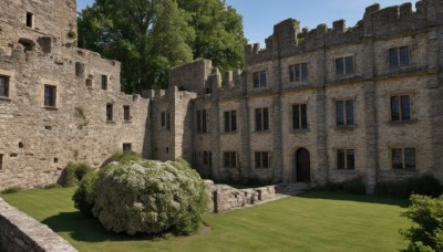 outdoors,sky,day,tree,blue sky,no humans,window,shadow,grass,building,nature,scenery,rock,bush,wall,ruins,house,path,moss