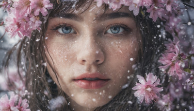 1girl, solo, looking at viewer, blue eyes, brown hair, flower, parted lips, blurry, lips, petals, eyelashes, cherry blossoms, portrait, close-up, realistic, nose