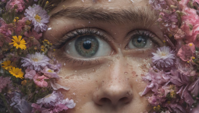 solo, looking at viewer, blue eyes, 1boy, brown eyes, flower, male focus, eyelashes, close-up, pink flower, realistic, yellow flower, purple flower, eye focus