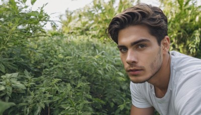 solo,looking at viewer,short hair,brown hair,shirt,black hair,1boy,brown eyes,closed mouth,white shirt,upper body,flower,short sleeves,male focus,outdoors,blurry,lips,facial hair,leaf,plant,white flower,t-shirt,beard,realistic,stubble,photo background,day,blurry background,portrait,undercut