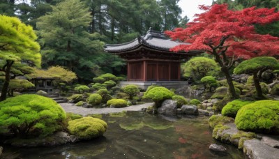 outdoors,day,tree,no humans,leaf,grass,building,nature,scenery,forest,rock,road,bush,autumn leaves,architecture,east asian architecture,shrine,path,stone,stone lantern,water,traditional media,river,moss,pond