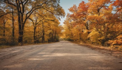 outdoors,sky,day,cloud,tree,blue sky,no humans,grass,nature,scenery,forest,road,autumn leaves,lamppost,street,autumn,path,leaf,realistic,landscape