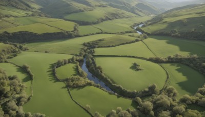 outdoors,sky,day,cloud,water,tree,no humans,ocean,from above,nature,scenery,forest,mountain,dragon,road,green theme,river,landscape,lake,hill,grass,bush,field,path