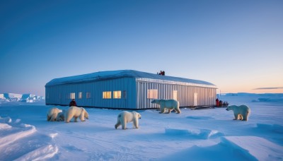 outdoors,sky,day,water,blue sky,no humans,window,shadow,animal,building,scenery,snow,dog,mountain,door,road,house,winter,footprints,bird,ocean,sunset,horizon,sunrise