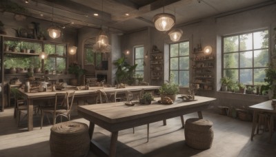 day,indoors,tree,cup,book,no humans,window,chair,table,sunlight,bottle,plant,scenery,plate,wooden floor,basket,potted plant,lamp,stool,shelf,jar,ceiling,ceiling light,cabinet,wooden table,light,barrel