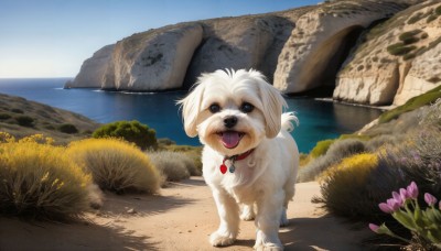 HQ,solo,looking at viewer,open mouth,flower,outdoors,sky,day,tongue,tongue out,water,black eyes,collar,blue sky,no humans,ocean,animal,fangs,grass,scenery,dog,rock,realistic,animal focus,jewelry,standing,signature,necklace,tree,plant,bush,animal collar