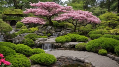 flower,outdoors,day,water,tree,no humans,grass,cherry blossoms,nature,scenery,forest,rock,road,river,waterfall,landscape,path,moss,pond,stairs,bush,torii,architecture,east asian architecture