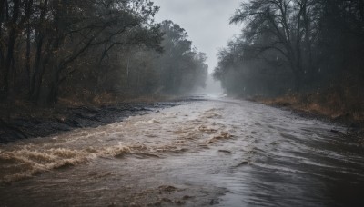 outdoors,sky,day,cloud,water,tree,no humans,cloudy sky,grass,fire,nature,scenery,forest,bare tree,river,fog,grey sky,snow,landscape