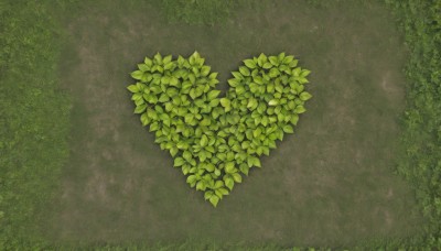 outdoors,day,tree,no humans,leaf,traditional media,grass,plant,nature,scenery,bush,green theme,from above,sunlight,green background