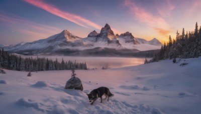 outdoors,sky,cloud,tree,no humans,animal,cloudy sky,nature,scenery,snow,forest,sunset,dog,mountain,winter,twilight,evening,mountainous horizon,gradient sky,footprints,pine tree,blue sky,cat,star (sky),rock,landscape