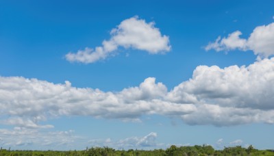 outdoors,sky,day,cloud,tree,blue sky,no humans,cloudy sky,grass,nature,scenery,forest,landscape