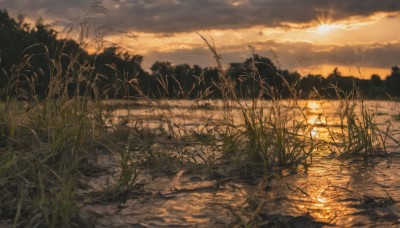 outdoors,sky,cloud,water,tree,no humans,sunlight,cloudy sky,grass,plant,nature,scenery,forest,reflection,sunset,sun,road,river,landscape,horizon