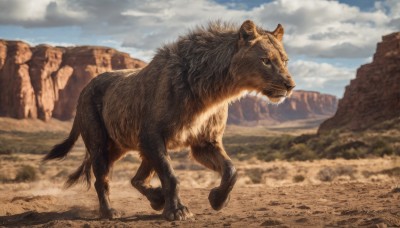 solo,full body,outdoors,sky,day,cloud,blurry,blue sky,no humans,shadow,animal,cloudy sky,claws,mountain,realistic,animal focus,tusks,signature,rock,sand,desert,cliff