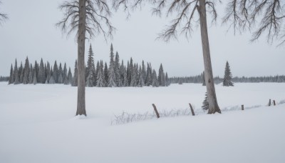 monochrome,greyscale,outdoors,sky,day,tree,no humans,grass,nature,scenery,snow,forest,winter,bare tree,landscape,lake,pine tree,blue theme,fog