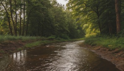 outdoors,sky,day,water,tree,no humans,sunlight,grass,plant,nature,scenery,forest,reflection,road,bush,river,puddle,path,landscape