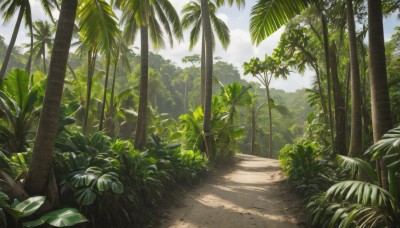 outdoors,sky,day,cloud,tree,blue sky,no humans,shadow,leaf,beach,sunlight,grass,plant,nature,scenery,forest,sand,palm tree,bush,summer,road,landscape,path