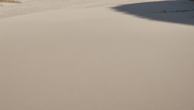 outdoors,day,water,no humans,shadow,ocean,beach,scenery,sand,horizon,shore,desert,1girl,grass,ground vehicle,motor vehicle,snow,road,footprints