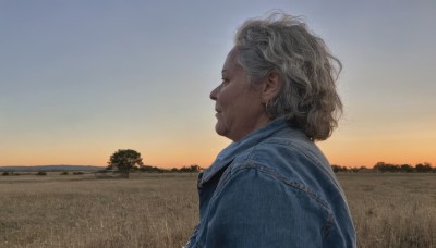 1girl,solo,short hair,blonde hair,1boy,jewelry,closed mouth,jacket,closed eyes,upper body,grey hair,male focus,earrings,outdoors,sky,from side,tree,profile,grass,denim,blue jacket,sunset,realistic,denim jacket,white hair,curly hair,looking afar,field,old,old man,twilight,old woman,wrinkled skin