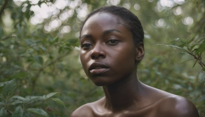 solo,looking at viewer,short hair,black hair,1boy,collarbone,flower,male focus,outdoors,parted lips,teeth,dark skin,blurry,black eyes,blurry background,leaf,dark-skinned male,plant,portrait,nature,freckles,realistic,very short hair,closed mouth,upper body,nude,lips,depth of field,sunlight,dappled sunlight