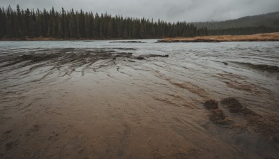 outdoors,sky,day,cloud,tree,no humans,cloudy sky,nature,scenery,snow,forest,mountain,road,bare tree,landscape,grey sky,footprints,overcast,water,winter