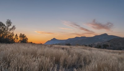 outdoors,sky,cloud,tree,blue sky,no humans,cloudy sky,grass,nature,scenery,forest,sunset,mountain,field,twilight,evening,landscape,mountainous horizon,gradient sky,orange sky,hill,star (sky)