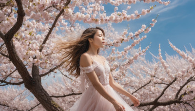 1girl, solo, long hair, brown hair, dress, bare shoulders, closed eyes, flower, outdoors, sky, day, white dress, tree, blue sky, cherry blossoms, wind, realistic