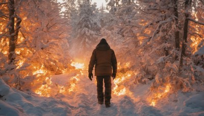 solo,gloves,long sleeves,1boy,standing,jacket,male focus,boots,outdoors,day,black gloves,pants,hood,water,from behind,tree,coat,bird,black pants,fire,nature,scenery,hooded jacket,snow,1other,hood up,forest,walking,brown jacket,winter clothes,facing away,brown pants,wide shot,winter,brown coat,bare tree,ambiguous gender,burning,footprints,fur trim,hood down,ice,arms at sides