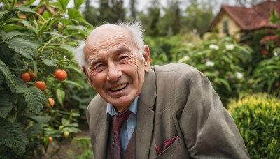 solo,smile,shirt,1boy,jacket,closed eyes,white shirt,upper body,white hair,grey hair,male focus,outdoors,food,necktie,teeth,day,collared shirt,grin,blurry,tree,leaning forward,fruit,blurry background,facial hair,formal,suit,plant,red necktie,facing viewer,realistic,grey jacket,bald,house,old,striped necktie,old man,photo background,tomato,garden,wrinkled skin,looking at viewer,open mouth,long sleeves,signature,vest,dress shirt,depth of field,leaf,blue shirt,wing collar,building,brown jacket