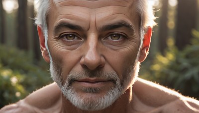 solo,looking at viewer,short hair,1boy,brown eyes,closed mouth,collarbone,white hair,male focus,outdoors,blurry,depth of field,blurry background,facial hair,thick eyebrows,portrait,nature,beard,close-up,forest,mature male,realistic,mustache,manly,old,old man,wrinkled skin,signature,lips,scar,christmas tree,bokeh