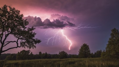 outdoors,sky,cloud,tree,no humans,cloudy sky,grass,nature,scenery,forest,mountain,electricity,lightning,landscape,red sky,purple sky,sunset,twilight,gradient sky