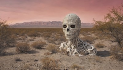 solo,outdoors,sky,tree,no humans,grass,nature,scenery,skull,skeleton,bare tree,bone,horror (theme),desert