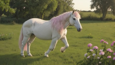 solo,standing,full body,flower,outdoors,horns,day,tree,pokemon (creature),no humans,sunlight,grass,nature,scenery,pink flower,forest,realistic,animal focus,horse,unicorn,sky,from side,shadow,animal,white flower,bush,field,path