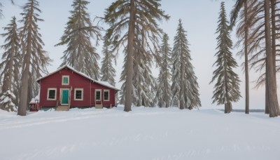 outdoors,sky,day,cloud,tree,blue sky,no humans,window,building,nature,scenery,snow,forest,snowing,door,road,house,winter,bare tree,pine tree,grass,mountain