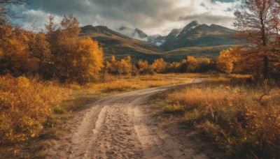 outdoors,sky,day,cloud,tree,blue sky,no humans,leaf,cloudy sky,grass,nature,scenery,forest,mountain,road,autumn leaves,field,autumn,landscape,path,signature,bare tree,mountainous horizon