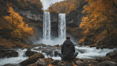 solo, brown hair, 1boy, sitting, jacket, male focus, outdoors, pants, hood, water, from behind, tree, hoodie, hood down, nature, scenery, rock, indian style, autumn leaves, river, autumn, waterfall