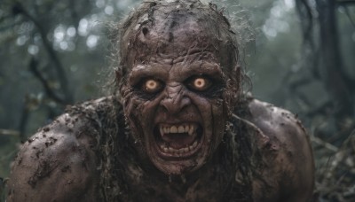 solo,looking at viewer,open mouth,1boy,brown eyes,yellow eyes,male focus,teeth,blurry,blurry background,portrait,realistic,dirty,horror (theme),black hair,upper body,earrings,outdoors,nature,colored sclera,black sclera