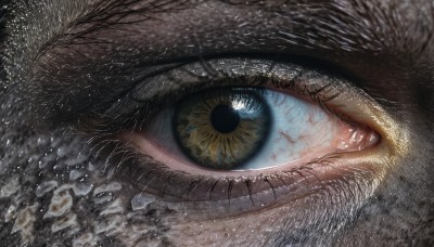 solo,looking at viewer,blue eyes,1boy,water,eyelashes,no humans,close-up,1other,reflection,realistic,eye focus,bangs,black hair,male focus,light particles