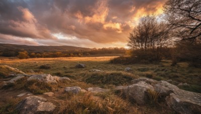 outdoors,sky,cloud,tree,dutch angle,no humans,cloudy sky,grass,nature,scenery,forest,sunset,rock,mountain,field,bare tree,river,evening,landscape,orange sky,water,sunlight,horizon