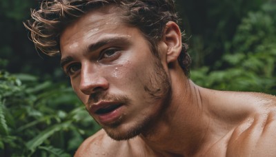 solo,looking at viewer,short hair,brown hair,1boy,male focus,outdoors,parted lips,blurry,black eyes,lips,blurry background,facial hair,thick eyebrows,portrait,nature,beard,close-up,topless male,realistic,nose,mustache,black hair,brown eyes,manly